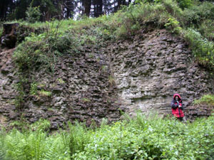 Stop 1: Much Wenlock Limestone Formation - alternating layers of limestone and mudstone